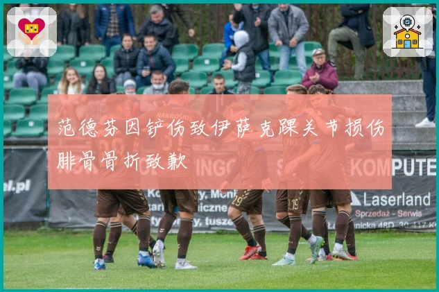 范德芬因铲伤致伊萨克踝关节损伤腓骨骨折致歉