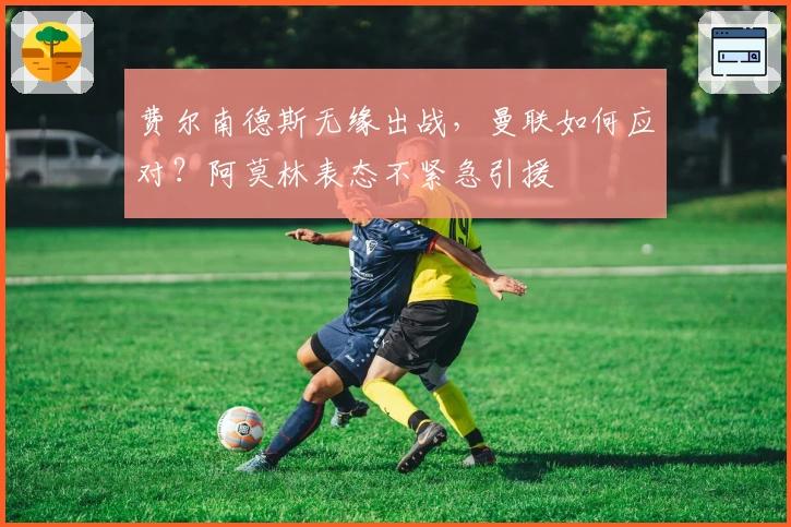 费尔南德斯无缘出战，曼联如何应对？阿莫林表态不紧急引援