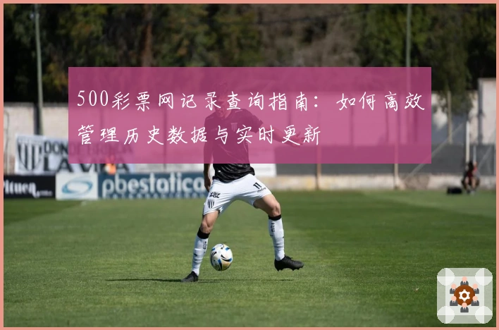 500彩票网记录查询指南：如何高效管理历史数据与实时更新