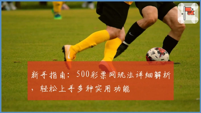 新手指南：500彩票网玩法详细解析，轻松上手多种实用功能