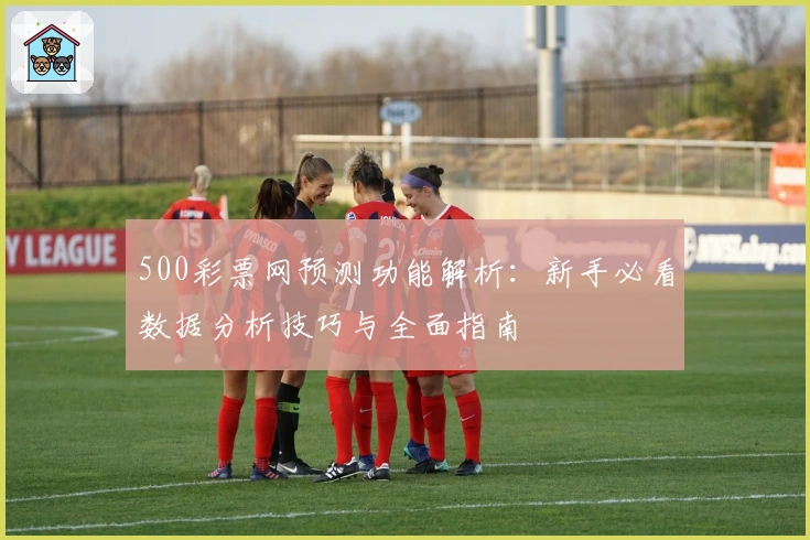 500彩票网预测功能解析：新手必看数据分析技巧与全面指南