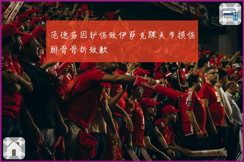 范德芬因铲伤致伊萨克踝关节损伤腓骨骨折致歉