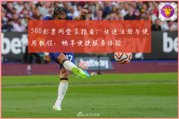 500彩票网登录指南:快速注册与使用教程,畅享便捷服务体验
